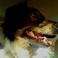 Profile Picture of Maria Colangelo (@maria-colangelo-10) on Quora