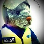 Profile Picture of Bryan Kwong (@bryankww) on Instagram