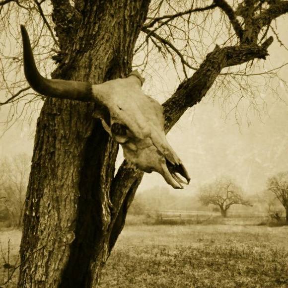 Profile Picture of Alex Carillo (@hunt365) on Poshmark