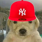 Profile Picture of Isaac Avalos  (@RosarioRodriguez-t1z) on Youtube