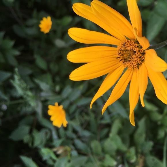 Profile Picture of Rebecca Hansen (@rebecca_h_428) on Poshmark