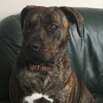 Profile Picture of Lisa Pratt (@lisababe2370) on Instagram