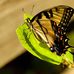 Profile Picture of David M. Philpott (@david.m.philpott) on Facebook