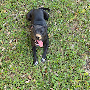 Profile Picture of Devon Nelson (@devonnelson6121) on Youtube