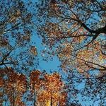 Profile Picture of Loredana Argento (@loredanaargento) on Instagram