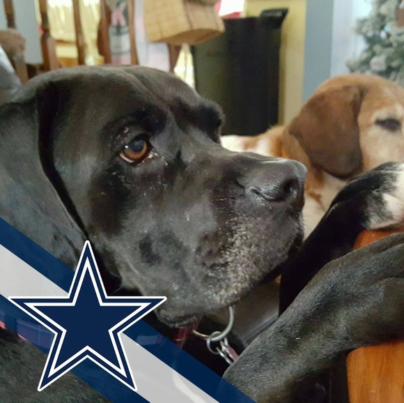 Profile Picture of Cindy Kirkendall (@cinderella1964) on Poshmark