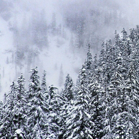 Profile Picture of Sunshine Knust (@suns78) on Poshmark