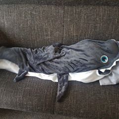 Profile Picture of Jose Oosterhof (@joseoosterhof) on Tiktok