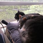 Profile Picture of Peterson, Joseph M. (@avantbard17) on Instagram