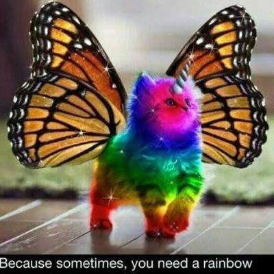 Profile Picture of Larinda Lipscomb (@lorilipp54) on Twitter