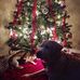 Profile Picture of Seth Marshall (@seth.marshall.7543) on Facebook