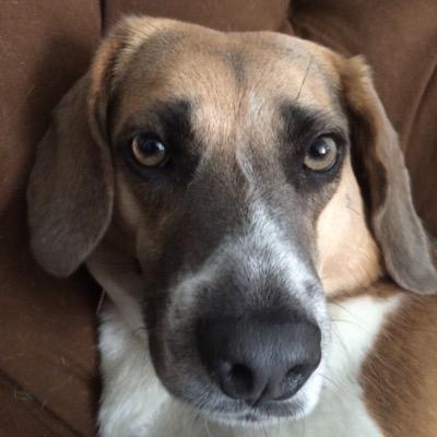 Profile Picture of Matthew Crafton (@MatthewCrafton1) on Twitter