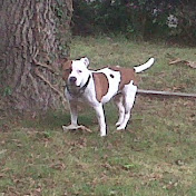 Profile Picture of Tommy Reece (@tommyreece8666) on Youtube