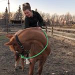 Profile Picture of Lacey Jacobsen (@ljacobsen11) on Instagram