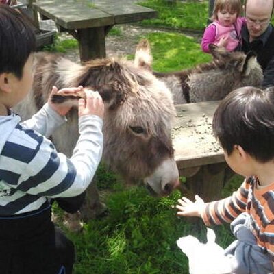 Profile Picture of Cho Injae (@schatzien) on Twitter