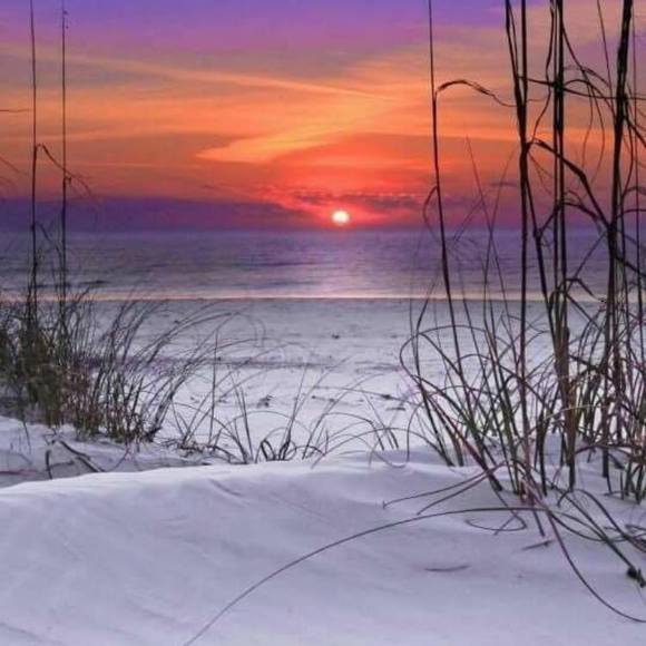 Profile Picture of Debbie Rowand (@debbie_rowand) on Poshmark