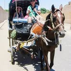 Profile Picture of Joseph Renno (@joseph.renno) on Facebook