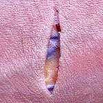 Daniel Bastidas - Flickr Profile Picture of Daniel Bastidas (@dbastidash) on Flickr