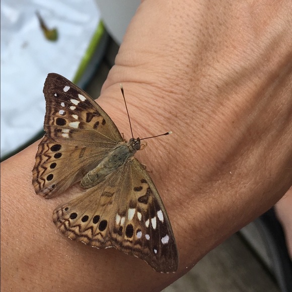 Profile Picture of Amy Riebel (@grabapen2) on Poshmark