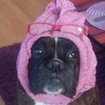 Profile Picture of Claudia Neumann (@claudia.neumann.7) on Instagram