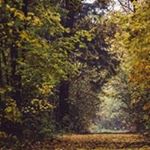 Profile Picture of Samuel Chege (@chege9864) on Instagram