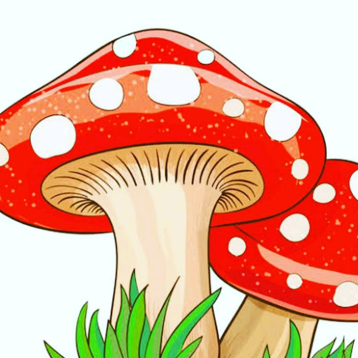 Profile Picture of Jessica_triper (@jessisienp8) on Tiktok