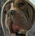 Michael Blottenberger - Facebook Profile Picture of Michael Blottenberger (@Michael-Blottenberger) on Facebook