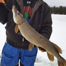 Profile Picture of Joe Crittenden (@JoeyCrittenden) on Twitter