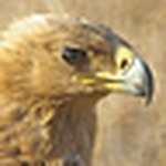 Profile Picture of Jim Devlin (@j1mdevl1n) on Flickr