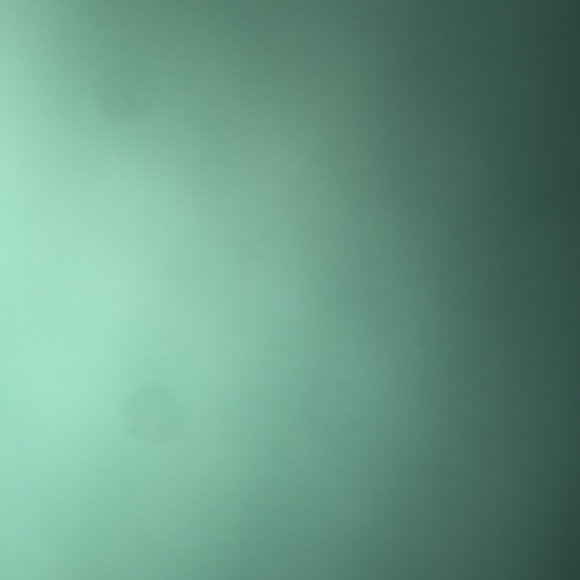 Stephanie Seebold - Poshmark Profile Picture of Stephanie Seebold (@seseebold) on Poshmark