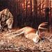 Profile Picture of Matthew Denton (@matthewdenton98) on Pinterest