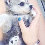 Profile Picture of Alexandra Cadavid (@alexcad20) on Instagram