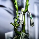 Profile Picture of Gilbert Acevedo (@_globalshots) on Instagram