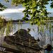 Profile Picture of Thomas Flink (@tompaflink) on Pinterest