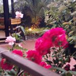 Profile Picture of Лейтнер Эрнест (@leitnerernest7920) on Instagram