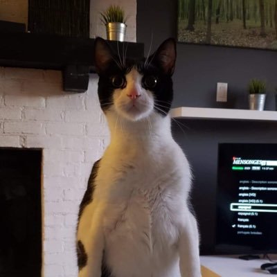 Justin Boisvert - Twitter Profile Picture of Justin Boisvert (@JustinBoisver16) on Twitter