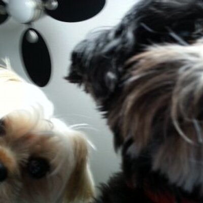 Profile Picture of  🇨🇦Jeff Lawson (@JeffLawson16) on Twitter