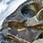 Profile Picture of Lowd7000 (@Lowd7000) on Flickr