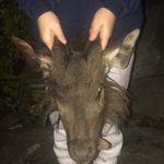 Profile Picture of bo webb (@bowebb_) on Instagram