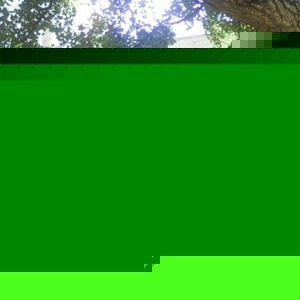 Profile Picture of Lorenzo Carrillo (@number1ballershockcoller) on Myspace