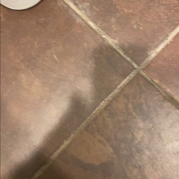 Profile Picture of Michell Hernandez (@mickie143ymail) on Poshmark