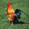 Profile Picture of Nathan Jesse (@nathanjesse50) on Tiktok