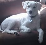 Profile Picture of Kevin Thackston (@kevin.thackston.7) on Facebook