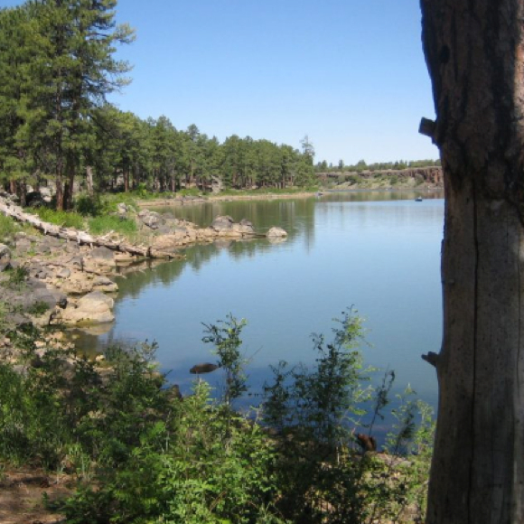 Profile Picture of Holly Rindone (@hrindone01) on Poshmark