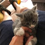 Profile Picture of Tia Peplow James (@tiapeplowjames) on Instagram