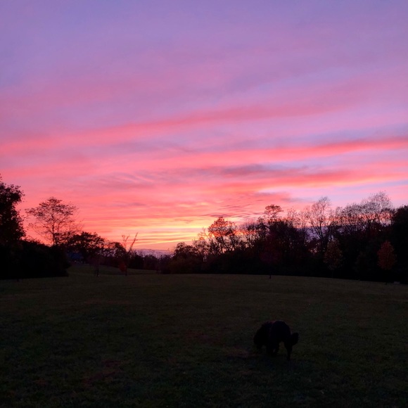 Profile Picture of Matthew Brune (@mbrune1114) on Poshmark