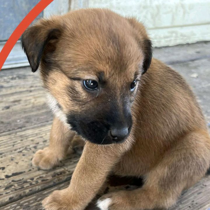 Profile Picture of Patrick Hamm (@patrickhamm) on Tiktok