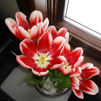 Profile Picture of JOYCE A ARMSTRONG (@20TWEET14) on Twitter