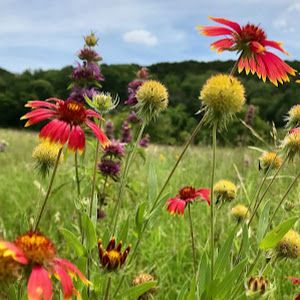 Profile Picture of peytonhayslip1 (@peytonhayslip1) on Tiktok