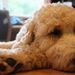 Profile Picture of Matthew Ebert (@ebert00) on Pinterest